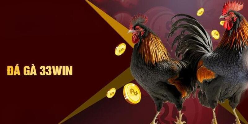 Luật cơ bản đá gà 33WIN hội viên cần nắm rõ