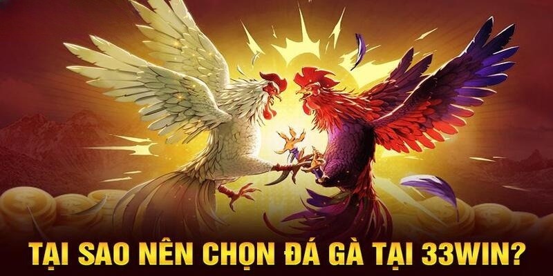 Những ưu điểm đặc biệt chỉ có ở đá gà 33WIN