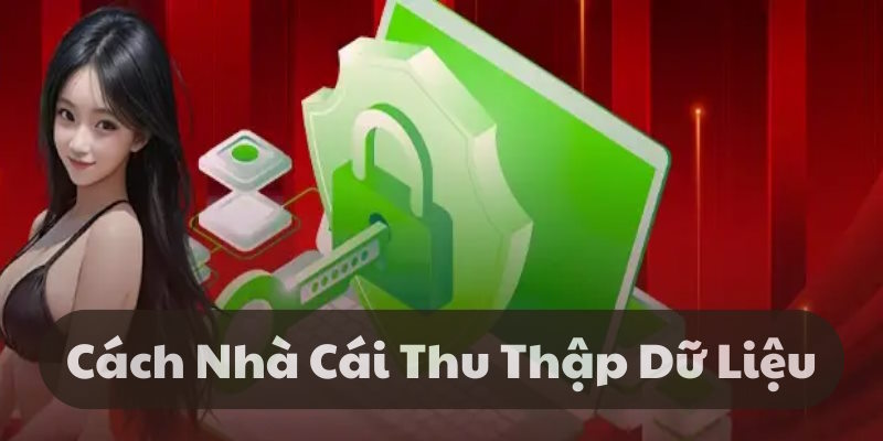 Quyền riêng tư về 33Win thu thập thông tin